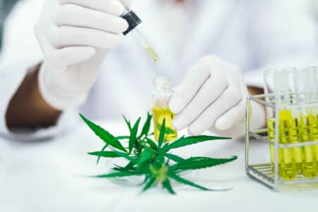 cannabis huile cbd nouveau traitement couv