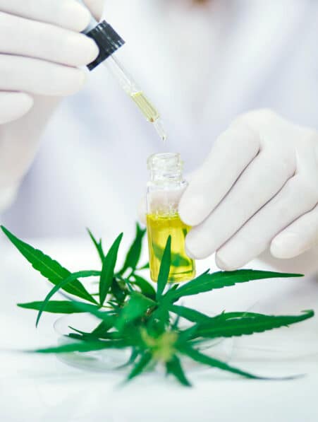 cannabis huile cbd nouveau traitement couv