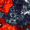 formation premieres etoiles supermassives univers couv