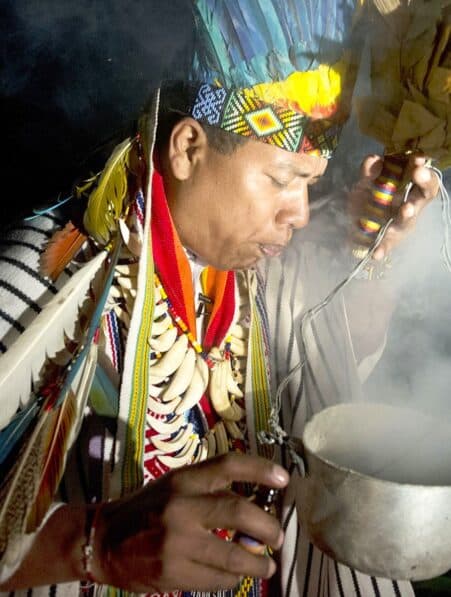 impact conscience psychedelique ayahuasca revele par imagerie cerebrale couv