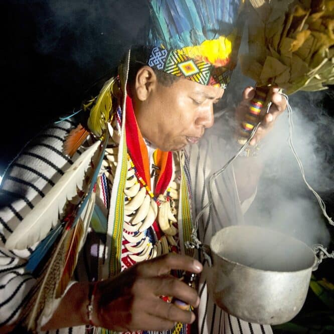 impact conscience psychedelique ayahuasca revele par imagerie cerebrale couv