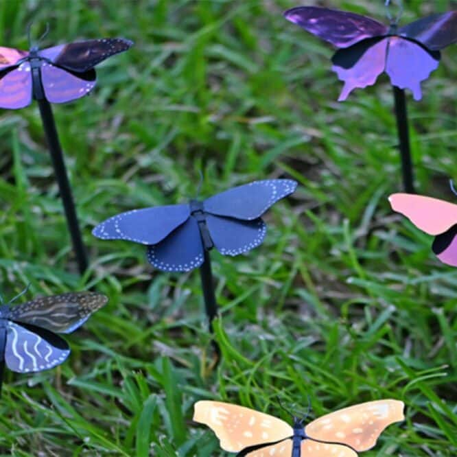peinture la plus legere economie energie papillon