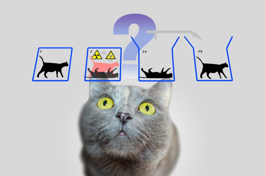 start up française qubits de chats ordinateur quantique corriger erreurs