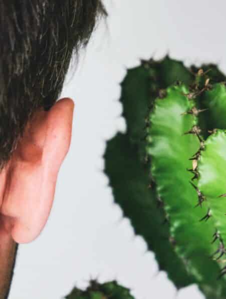 stress son plantes jamais percu