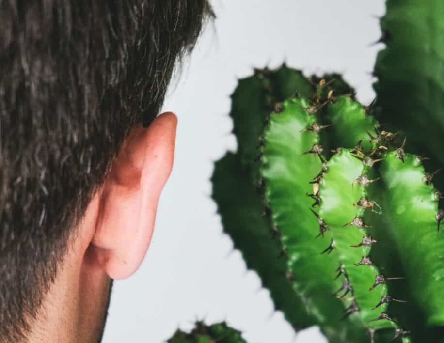 stress son plantes jamais percu