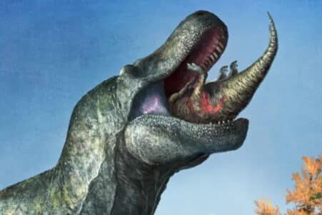 t rex grandes dents erronee