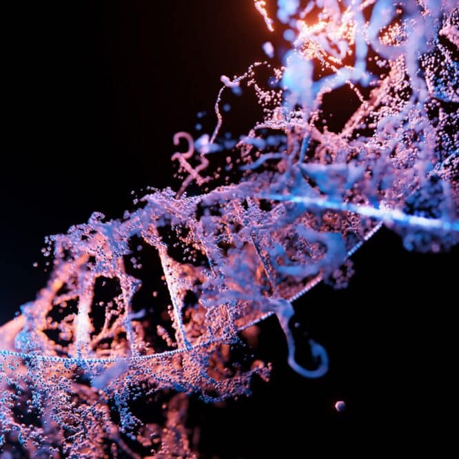enzyme cle cancer autoimmunite