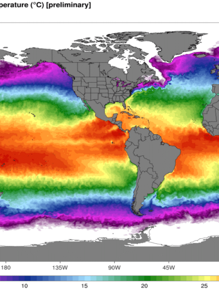 hausses temperature oceanique extreme