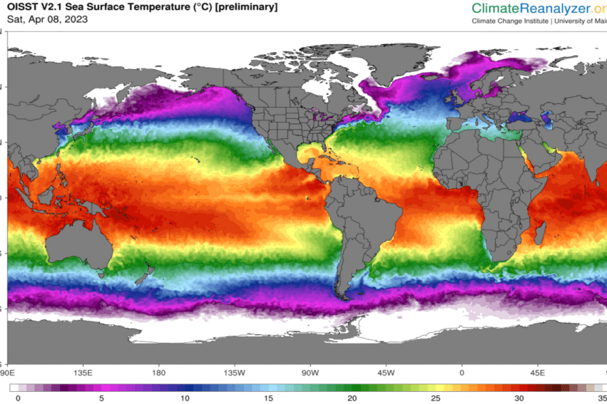 hausses temperature oceanique extreme