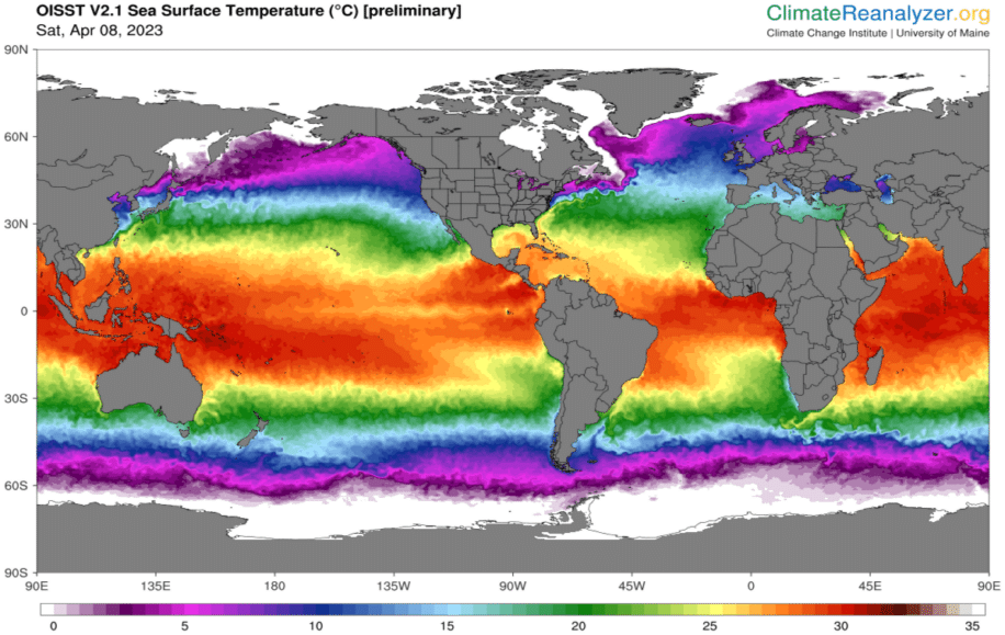 hausses temperature oceanique extreme
