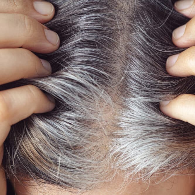 mécanisme cheveux gris