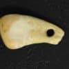 adn ancien 20000 ans identite personne couv