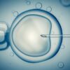 bebe trois adn don mitochondrie couv
