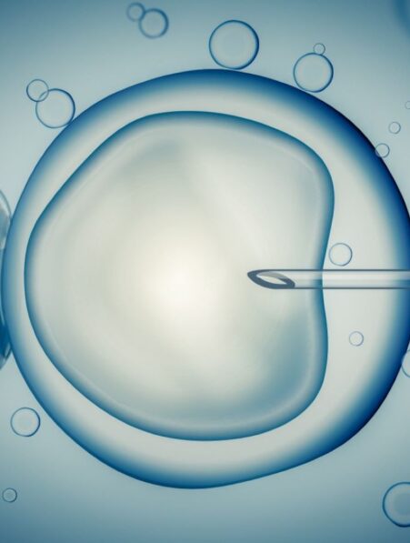 bebe trois adn don mitochondrie couv