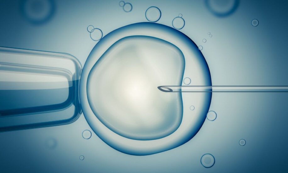 bebe trois adn don mitochondrie couv