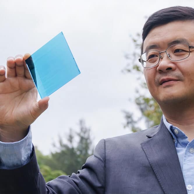 cellules solaires organiques revolution energie solaire