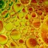 nouvelle activite electrique cellules origine vie couv