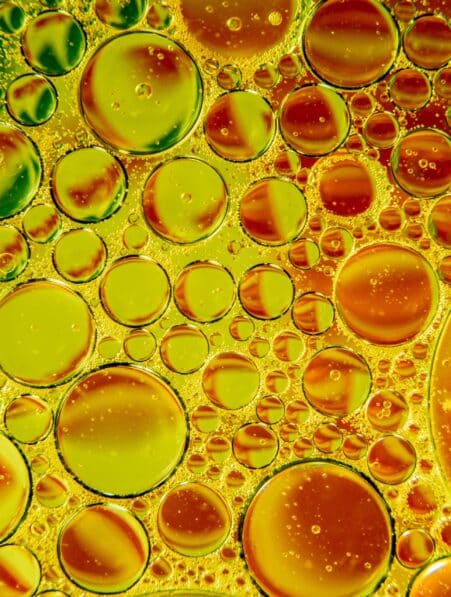 nouvelle activite electrique cellules origine vie couv