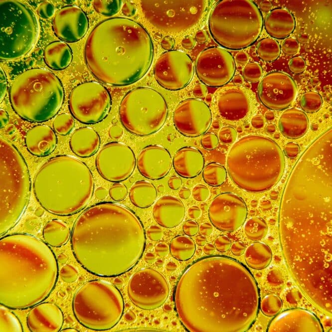 nouvelle activite electrique cellules origine vie couv