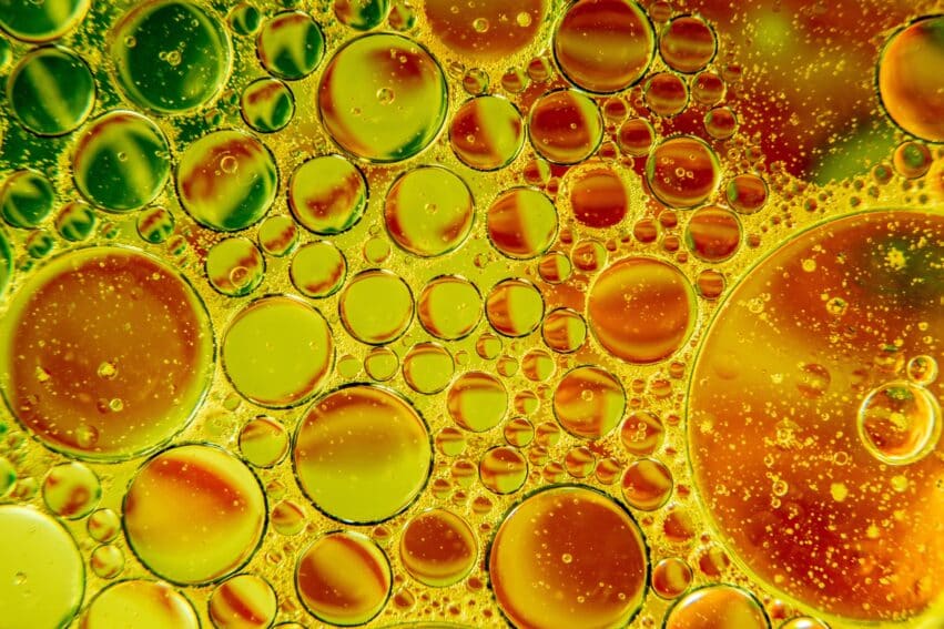 nouvelle activite electrique cellules origine vie couv