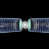 rebond univers big bang origine couv