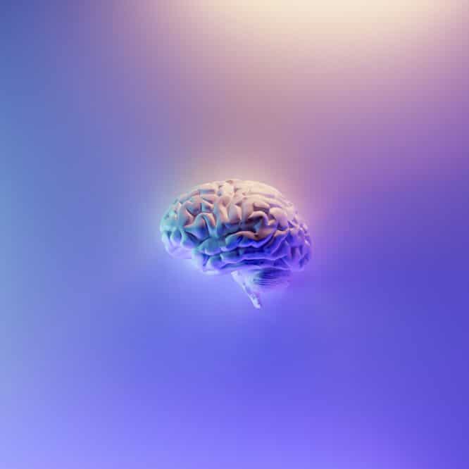 stimulation electrique performances cognitives