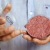 viande in vitro impact environnement negatif