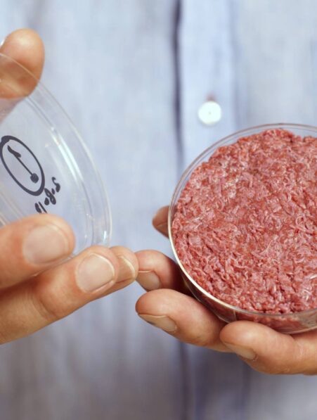 viande in vitro impact environnement negatif