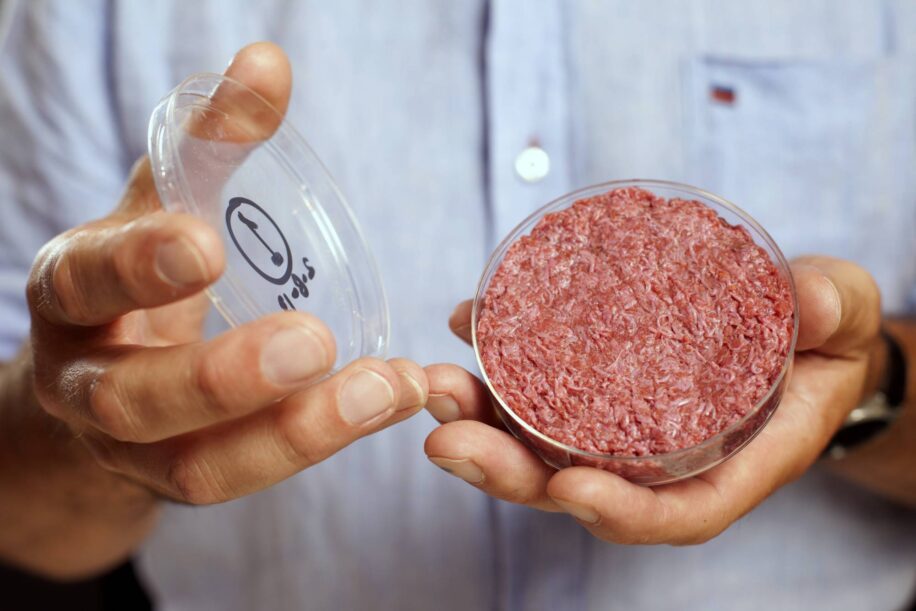 viande in vitro impact environnement negatif