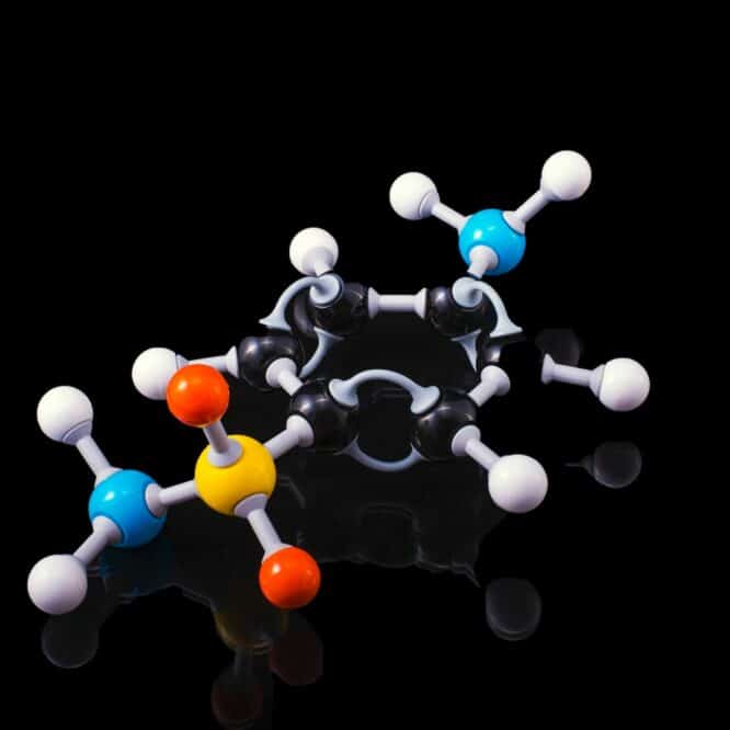alzheimer guerison complete molecule