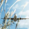 decarbonation entreprise aviation climat couv