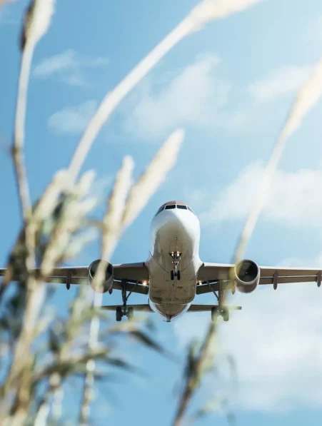 decarbonation entreprise aviation climat couv