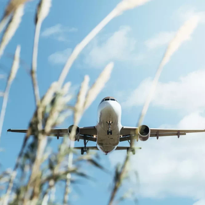 decarbonation entreprise aviation climat couv