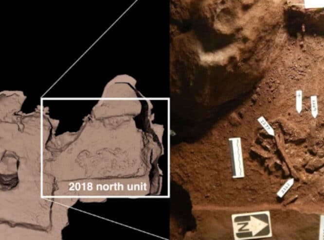 decouverte sépultures anciennes homo naledi