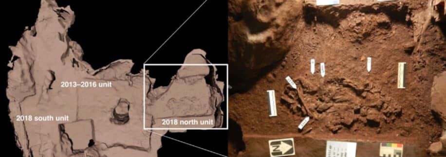decouverte sépultures anciennes homo naledi