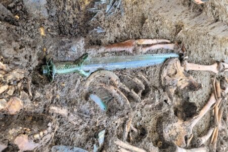 epee octogonal 3000 ans age bronze rare couv