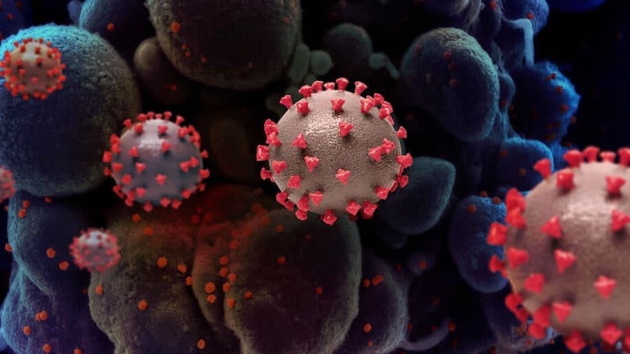 long covid persistance inflammation deux ans couv