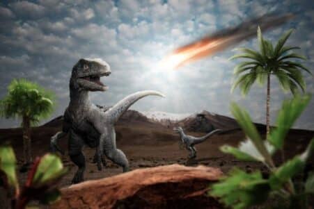 mammifere coexiste dinosaures debat
