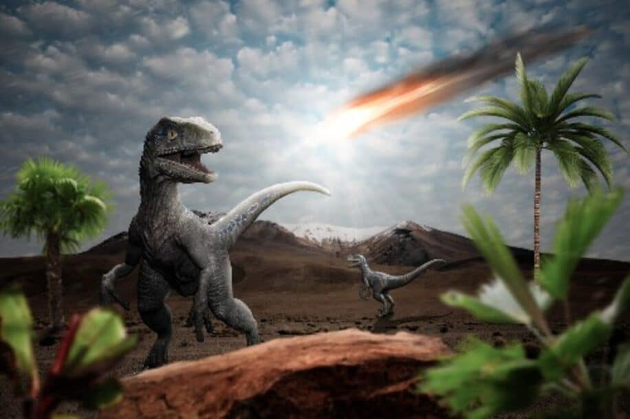 mammifere coexiste dinosaures debat