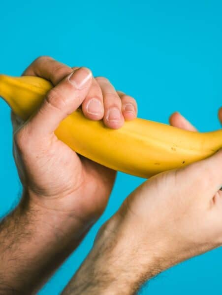 origine masturbation primates