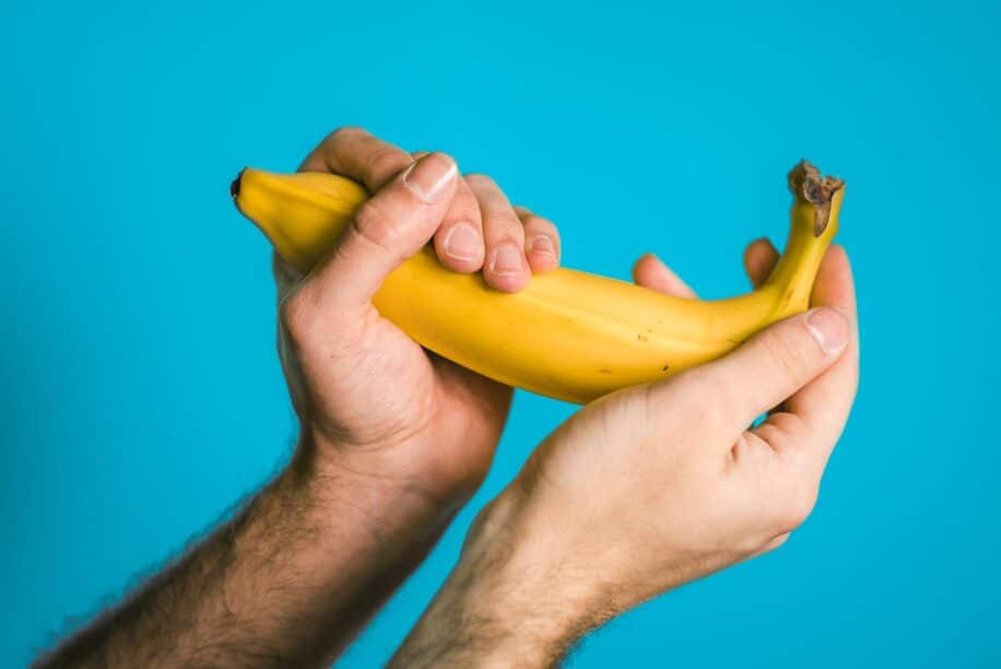 origine masturbation primates