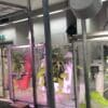 plantes interieur purifier air composes petrole
