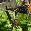 robot jardinier IA alphagarden