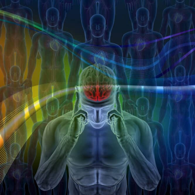 signaux spirales cerveau traitement cognitif