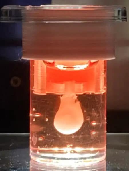 ventricule cardiaque battre 3 mois