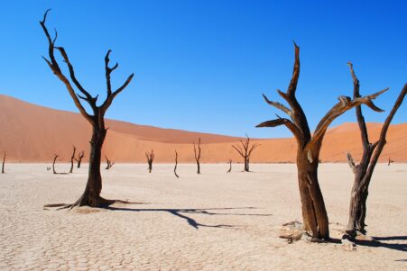 2024 hausse temperature