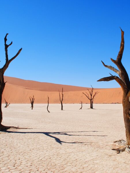 2024 hausse temperature