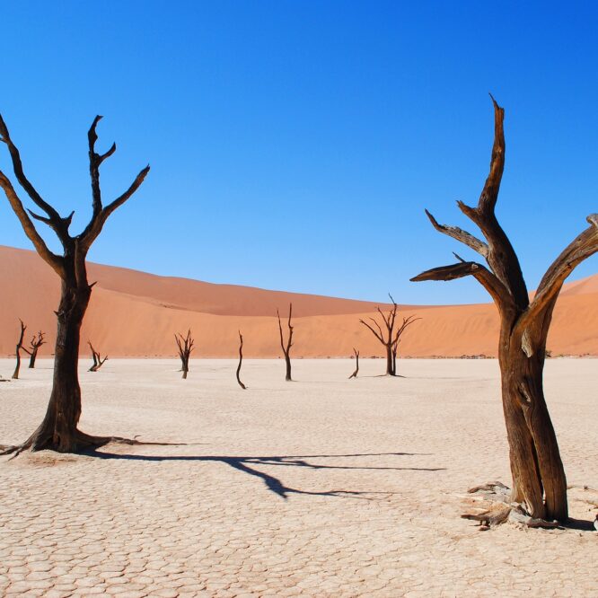 2024 hausse temperature