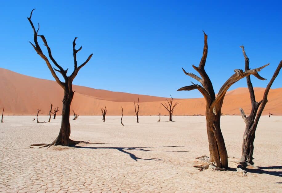 2024 hausse temperature