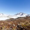 groenland passe vert fonte glace inexorable futur